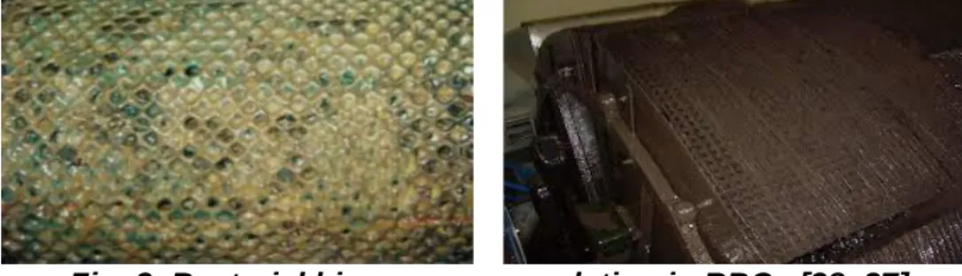 Fig. 2. Types of rotating biological contactors [13]  The  carbon-based  substrate  is 