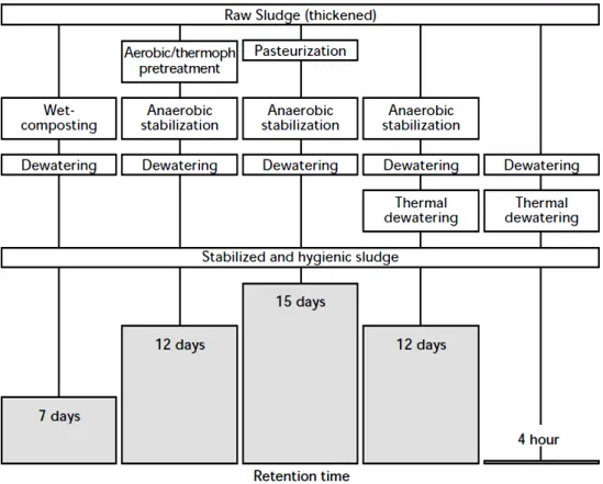 Fig. 2. Methods of sludge pretreatment [25] 