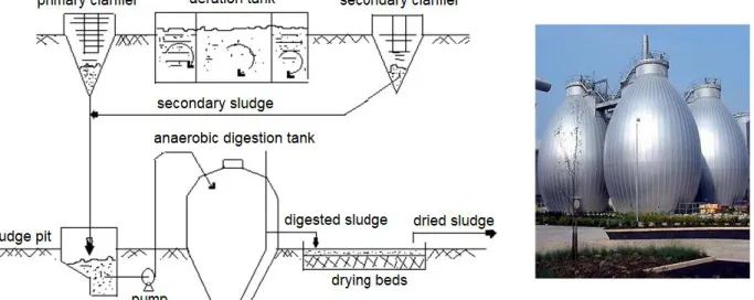 Fig. 5. Diagram of sludge processing in mechanical-biological treatment plant [19]  and egg-shaped sludge digesters [23] 