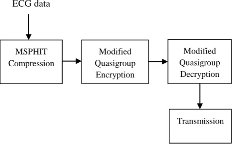 Fig 1: Block Diagram of the Overall Secured ECG 
