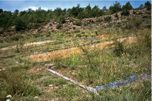 Figure 3. A perspective of the Aísa Valley Experimental Station.