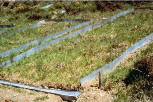 Figure 5. The grazing meadow plot.