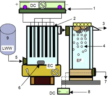 Fig. 7. Combined EC - EF system [14]   1. DC power apply for EC cell; 2. EC cell;   3