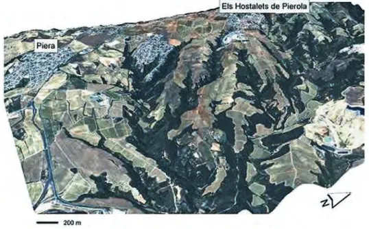 Figure 2. 3D view of the study area (vertical enhancement x2.5) in which it can be observed the dense and deep gully network (the distance in the scale bar is approximate).