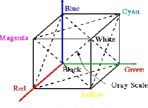 Figure 1.1 RGB Color Model  