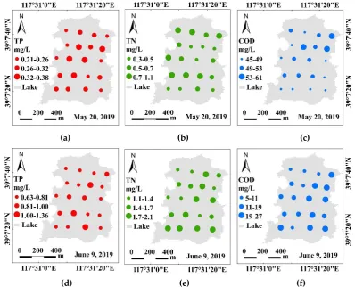 Figure 3. Distribution of measured water quality parameters. (a), (b), (c) represent TP, TN and COD, 
