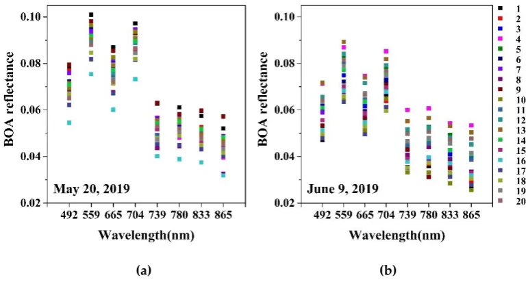 Figure 4. BOA reflectance of sampling points on: (a) May 20, 2019; (b) June 9, 2019. Different colors represent different sampling points