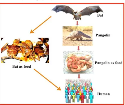 Fig. 1 Diagrammatic representation of the theory behind the potential link of the 