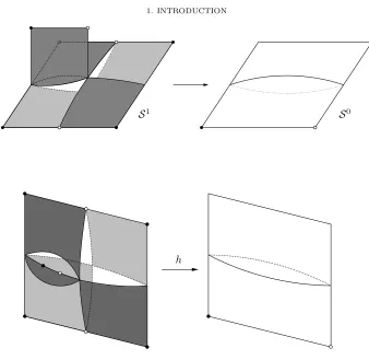 Figure 1.2. The map h.