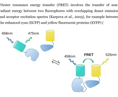 Figure 1-4). The donor and acceptor are required to be in close proximity (1-10nm) and have a favourable dipole-dipole interaction (Gu10  et al., 2004; Spiller et al., 2010)