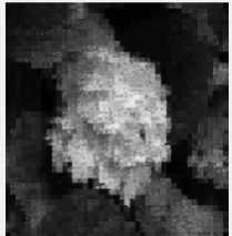 Figure 6 below shows the input image and figure 7 shows the compressed image using Huffman, DCT and RLE algorithms