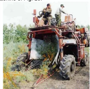 Figure 9 Mobile equipment for sea blackthorn  separation [22, 23] 