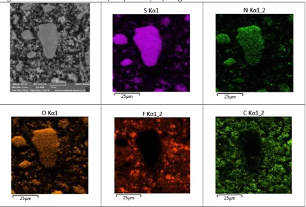 Figure 10. SEM micrograph (2000x magnification) and elemental maps of S, N, O, F and C for PM2.5 sample 80 collected on October 5, 2018