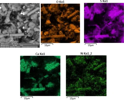 Figure 12. SEM micrograph and elemental maps for sample 21 collected on February 20, 2018, showing correlations between Na and Cl for one crystal (upper right corner)
