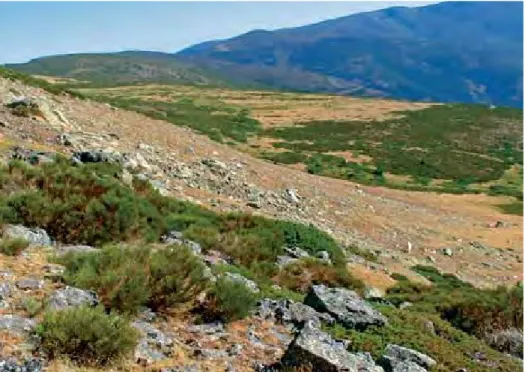 Figura 1. Localización y topografía del Puerto de los Neveros en la porción central de la Sierra de Guadarrama