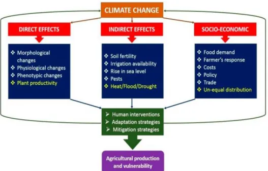 Fig. 1. Effects of climate change on agricultural production   (Source: Ali Raza et al., 2019) 
