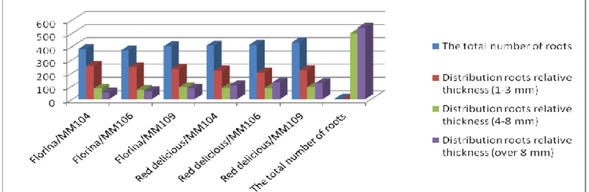 Figure 4 - Distribution of the root system in some varieties of apple 