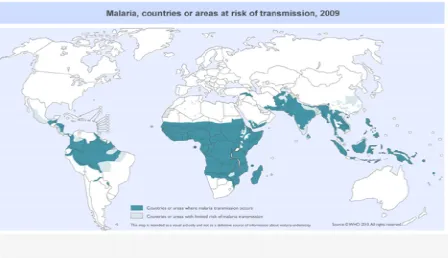 Figure 1.2.1: Global malaria risk distribution 2009 Source: World Health Organization 2011 (www.who.int/globalatlas)   