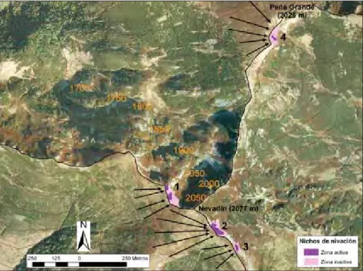 Figura 3. Situación de los nichos de nivación en el entorno de los picos Nevadín y Peña Grande