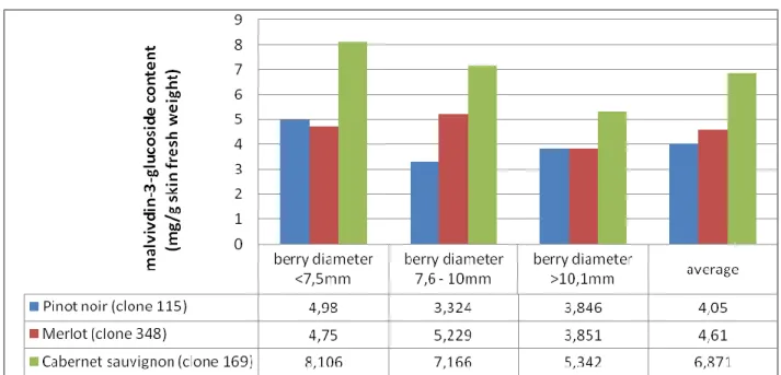 Figure 1.  Skin anthocyanin content observed varieties influenced by berry size  The  highest  anthocyanin  content  was  found 