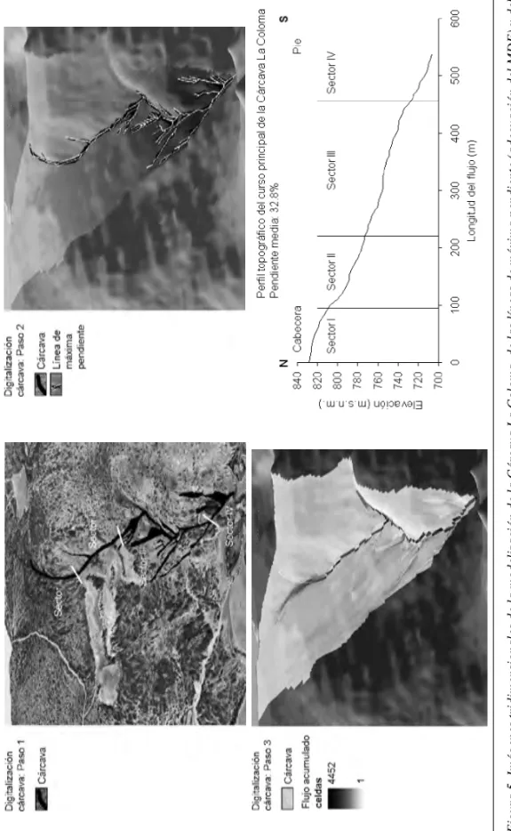 Figura 5. Imágenes tridimensionales de la modelización de la Cárcava La Coloma, de las líneas de máxima pendiente (adecuación del MDE) y del mapa de flujo acumulado según el algoritmo de flujo combinado  MDD8-G (a, b y c)