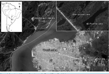 Figure 1. Location of the sampling sites on the Paraná River floodplain.                                     