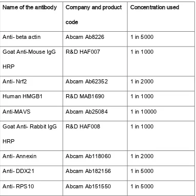 Table 1. Names and product codes of antibodies used for Western 