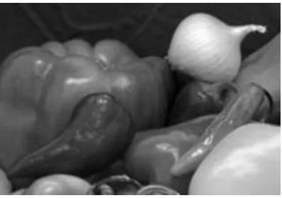 Fig 7 shows the input video frames.  In a video, the images called as frames are streamed at the rate of 25-30 frames per second (fps)