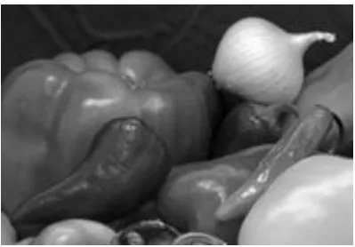 Fig .9 . Inverse svd appiled input video frames. 