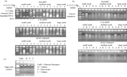 Table 1. Quality and quantity of DNA obtained from each extraction method.                                        