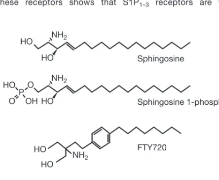 Fig. 2 | Structure of FTY720 and related compounds (adaptedwith permission from Brinkmann et al