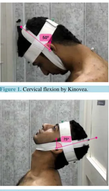 Figure 1. Cervical flexion by Kinovea.         