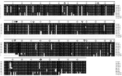 Figure 1.7 Snake venom hyaluronidase sequence analysis: Alignment of inferred 
