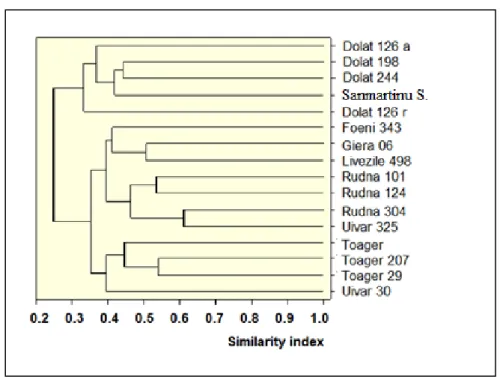 Fig. 2  The dendrogram of the shallot landraces based on the average clusters method for the ISSR markers 