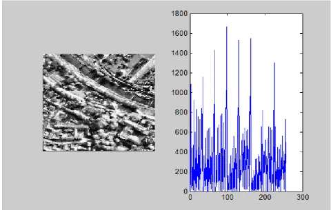 Figure 5- Enhanced Image1 by MHE with respective histogram 