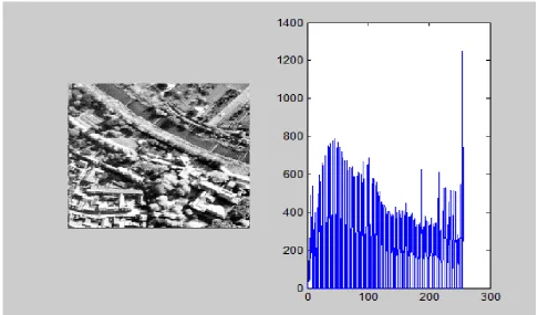 Figure 7- Enhanced Image1 by DBAIT with respective histogram 