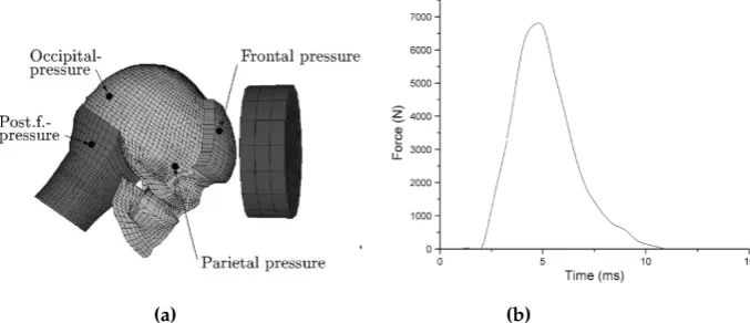 Figure 2. (a) Impact location in Nahum et al.’s experiments (adapted from [31]). (b) Input force timehistory (adapted from [1]).