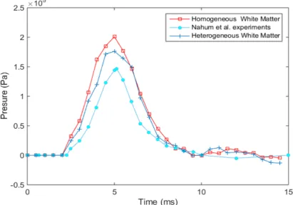 Figure 3. Comparison of heterogeneous model with experimental data from [28]. We ﬁnd that theheterogeneous model exhibits response closer to the Nahum data.
