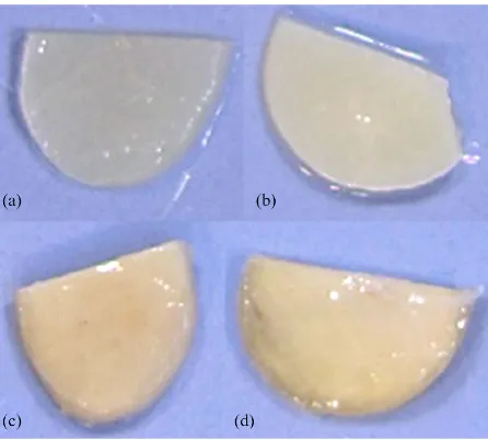 Figure 4. Mammography X-ray analysis of implanted sam-ples. (a) shows a CP implanted sample with obvious calcium deposits with a score of 4