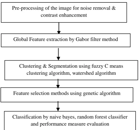 Fig 2. Input images of normal, small cell lung carcinoma, large cell lung carcinoma and non small cell lung carcinoma
