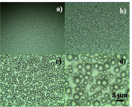 Fig. 1. Optical images of opaque PMMA at different magnifications  