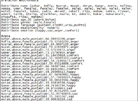 Fig 5: ARFF data file format for Speech Emotion Dataset 