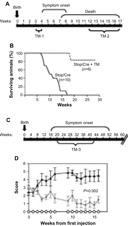 Figure 2 Global restoration of MeCP2 reverses deficits associated with RTT.Notes: (A) Time course of MeCP2Stop/y mice