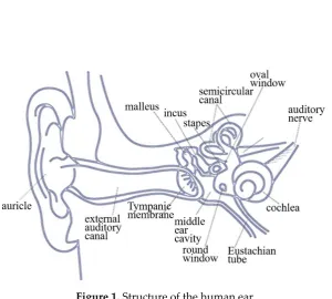 Figure 1. Structure of the human ear 