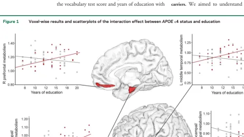 Figure 1Voxel-wise results and scatterplots of the interaction effect between APOE e4 status and education