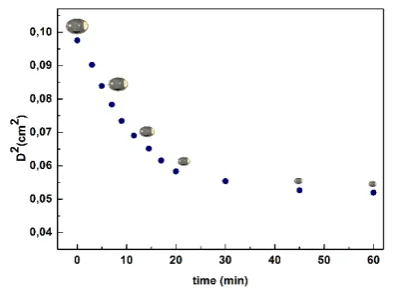 Fig. 4. Measured D2-Law as a function of time. Droplets: diameter values as evaluated by means of the video camera