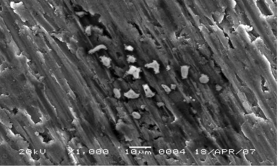 Figure 2. SEM of In alloy after immersion in 5% Cin for 1 hour.                