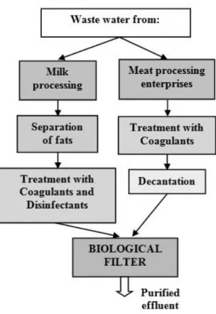Figure 1. The stages of the progress of the process of purification for waste waters from meat and  milk processing establishments .