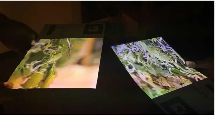 Fig. 12: The client program and the three-dimensional transformations for real-time projection