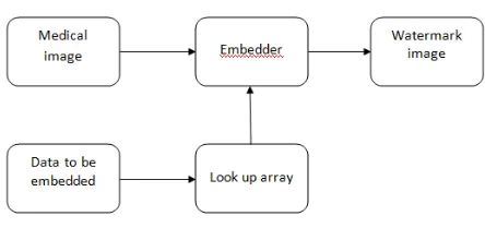 Fig 1: Embed which data and how to embed 
